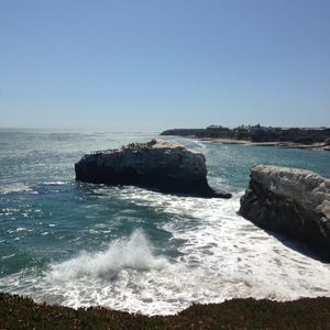 Meet your Posher, Kendall